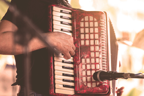 Red Accordion