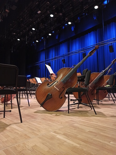 Cellos on Stage