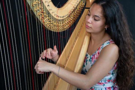 Woman playing the harp
